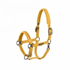 Licol Softshell Pearls PLATINUM 2025 - - Edition limitée Licols Et Longes