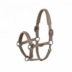 Licol Softshell Pearls PLATINUM 2025 - - Edition limitée Licols Et Longes