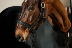 Licol Softshell Pearls PLATINUM 2025 - - Edition limitée Licols Et Longes