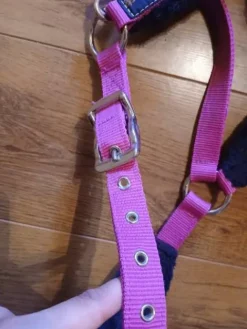 Clearance Licol taille cob Licols Et Longes