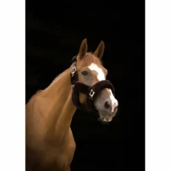 Sale Licol Teddy brun/brun - Equi-Thème Licols Et Longes