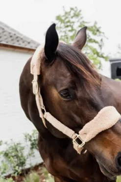 Online Licol Teddy Fleece - Kentucky Licols Et Longes