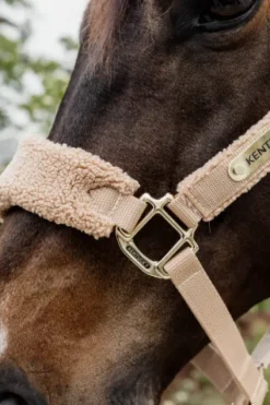 Online Licol Teddy Fleece - Kentucky Licols Et Longes