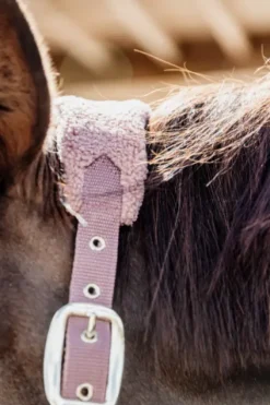 Online Licol Teddy Fleece - Kentucky Licols Et Longes