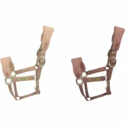 Licol Teddy Fleece - Kentucky Licols Et Longes