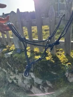 Best Licol éthologique Licols Et Longes