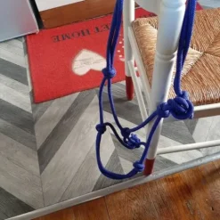 Best licol éthologique Licols Et Longes