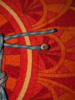 Hot Licol éthologique Licols Et Longes