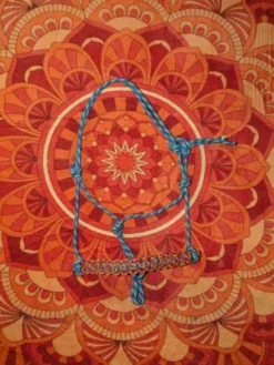 Hot Licol éthologique Licols Et Longes