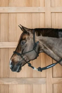 Online Licol éthologique - Dy'on Licols Et Longes