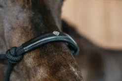 Online Licol éthologique - Dy'on Licols Et Longes