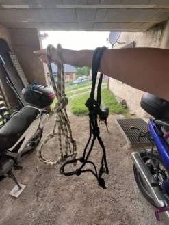 Best Licol éthologique beige Licols Et Longes