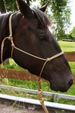 Licol éthologique ockamp - corde 6mm Licols Et Longes