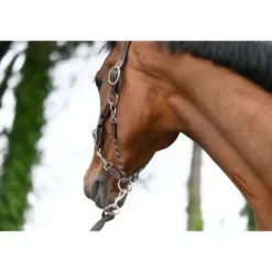 New Licol travel - Collection One - Licols Et Longes