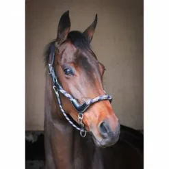 New Licol travel - Collection One - Licols Et Longes