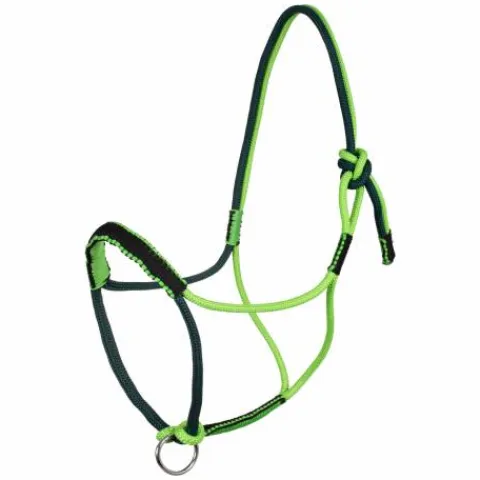 Sale Licol Tressé Avec Décorations Licols Et Longes