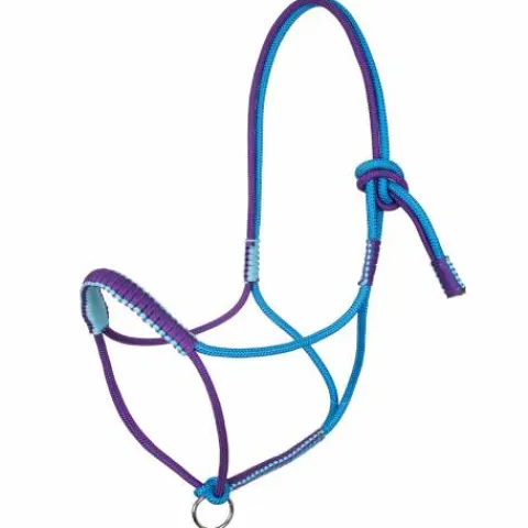 Sale Licol Tressé Avec Décorations Licols Et Longes