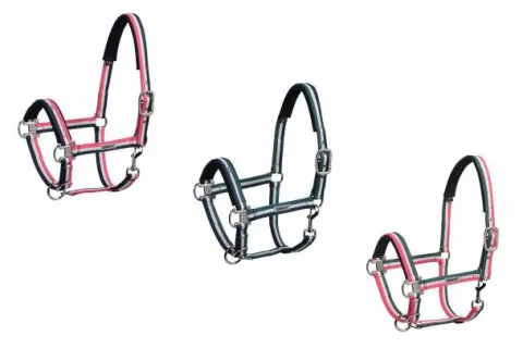 Hot Licol tricolor Classic Sports 2019 - Licols Et Longes