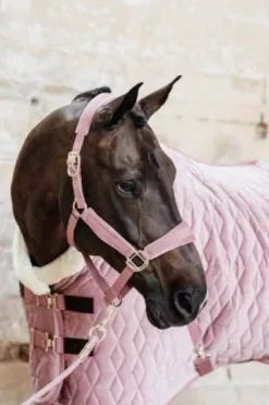 Licol Velvet - Kentucky Licols Et Longes