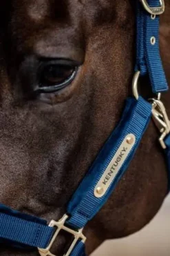 Licol Velvet - Kentucky Licols Et Longes