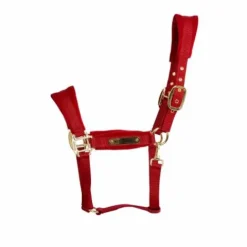 Clearance Licol Velvet - Kentucky - Détails en velours Licols Et Longes