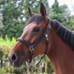 Hot Licol wednesday - Collection Week - Licols Et Longes