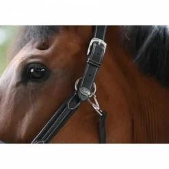 Hot Licol wednesday - Collection Week - Licols Et Longes