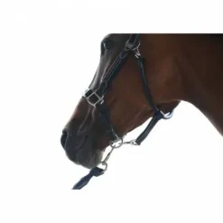 Hot Licol wednesday - Collection Week - Licols Et Longes