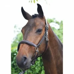 Hot Licol wednesday - Collection Week - Licols Et Longes