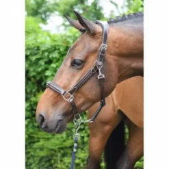 Hot Licol wednesday - Collection Week - Licols Et Longes