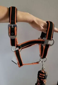 Discount licole plus longe equitheme Licols Et Longes