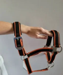 Discount licole plus longe equitheme Licols Et Longes