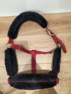 Discount Licol+longe Licols Et Longes