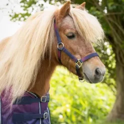 Online Licol+longe Jaily Ombre Licols Et Longes