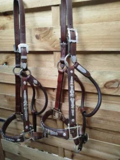 Online Licols western pour le show Licols Et Longes