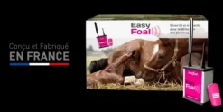 Hot Location easy foal Reproduction / Élevage