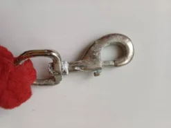 Clearance Longe Licols Et Longes