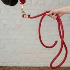 Sale Longe Basic - Kentucky - Nylon tressé Licols Et Longes