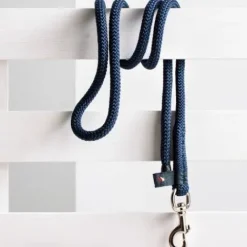 Clearance Longe de licol GABE Licols Et Longes