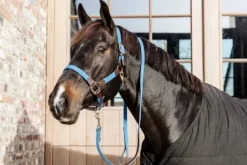 Sale Longe en nylon tressé - Kentucky Licols Et Longes