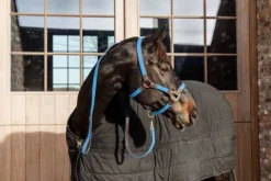 Sale Longe en nylon tressé - Kentucky Licols Et Longes