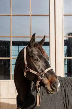 Sale Longe en nylon tressé - Kentucky Licols Et Longes