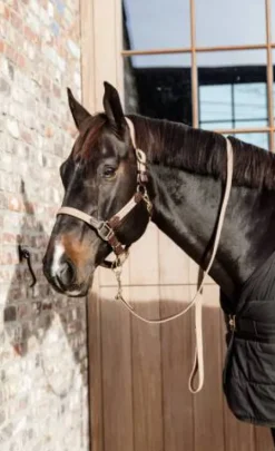 Sale Longe en nylon tressé - Kentucky Licols Et Longes