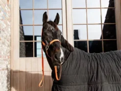 Sale Longe en nylon tressé - Kentucky Licols Et Longes