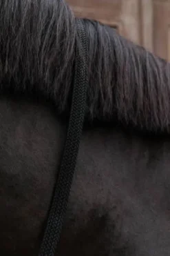 Sale Longe en nylon tressé - Kentucky Licols Et Longes