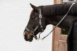 Sale Longe en nylon tressé - Kentucky Licols Et Longes