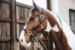 Sale Longe en nylon tressé - Kentucky Licols Et Longes