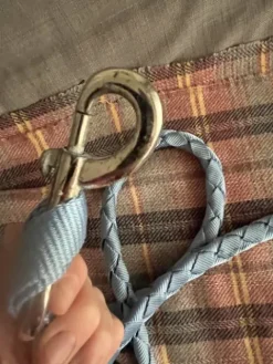 Outlet Longe Licols Et Longes