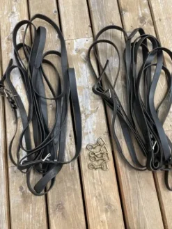 longues rennes Longues Rênes