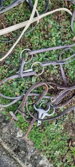 Best Lot 5 filets complets cheval Bridons Et Brides·Bridon Cuir